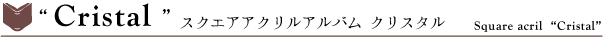 24cmスクエアアクリル表紙ウェディングアルバム　クリスタル