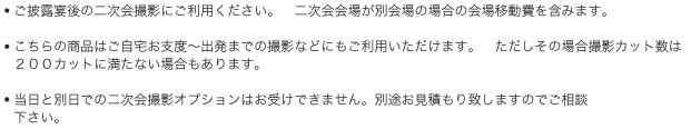 ウェディングスナップ撮影　２次会撮影オプション内容